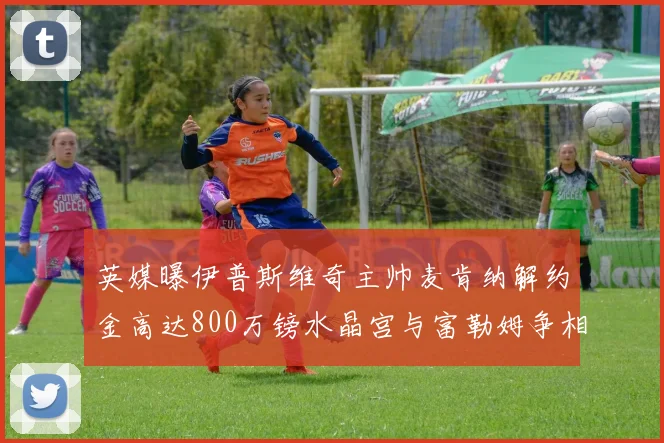 英媒曝伊普斯维奇主帅麦肯纳解约金高达800万镑水晶宫与富勒姆争相追逐